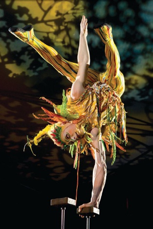 A performer balances on one hand in Cirque du Soleil’s Mystere; MYSTERE PHOTO BY RICHARD TERMINE