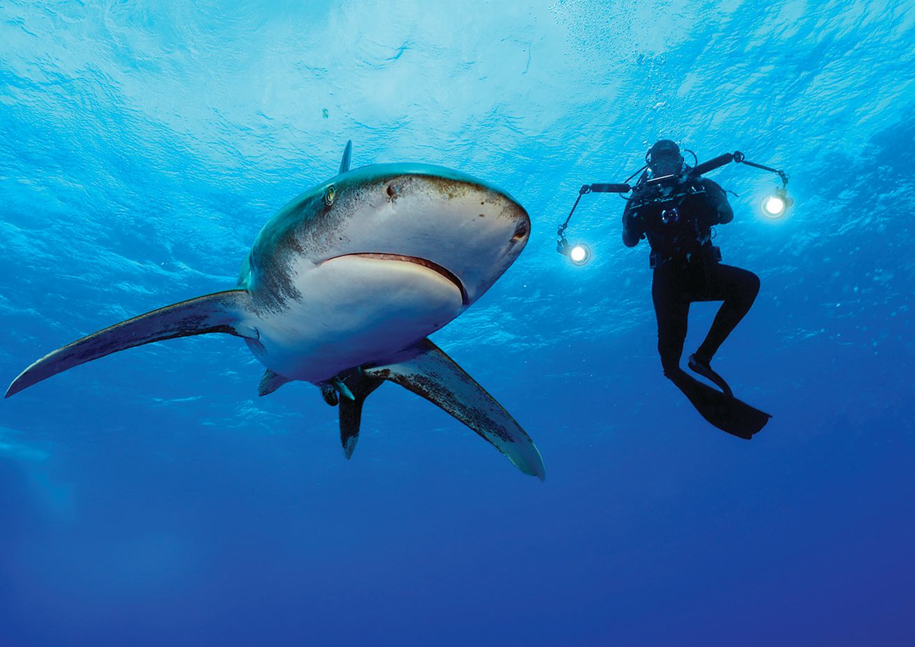 Go under the sea with photographer Brian Skerry at The Smith Center July 16. PHOTO BY BRIAN SKERRY